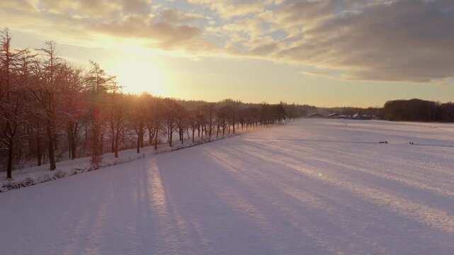 Light Beams Through Trees in a Winter Landscape
