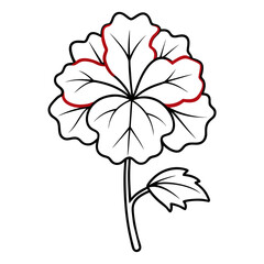 geranium line art on white background 