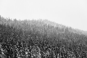Oksbakklia Hill, part of the Toten&aring;sen Hills, Norway, January 2026.