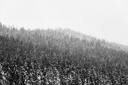 Oksbakklia Hill, part of the Toten&aring;sen Hills, Norway, January 2026.