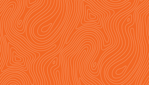 Pattern salmon bg with tuna seamless meat and texture line sushi. Fish backdrop fillet with japanese pattern repeat and package orange gourmet. Abstract graphic pattern with illustration.
