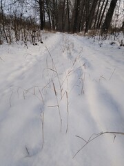 Minimalist winter landscape with a forest road