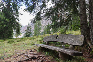 Bench in the forest, near Lago di Braies, Italy