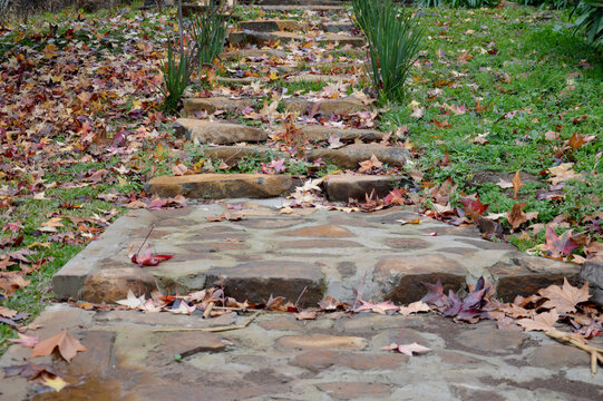 autumn leaves in a stone staircase