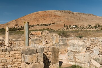Fototapeta premium View of the ruins of the ancient Berber, Punic and Roman city of Bulla Regia. House of the New Hunt. Tunisia. Africa.
