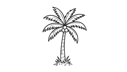 Obraz premium Simple black and white illustration of a palm tree with coconuts.