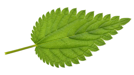 A closeup view of a single white paper coffee cup with black stripes and a shiny interior against a black background
