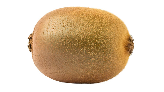 A single ripe kiwi fruit with brown fuzzy skin and visible texture isolated on a white background