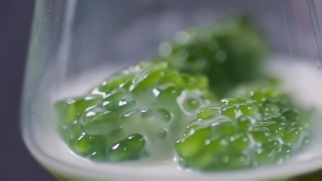 Green, translucent, spherical jelly-like food is being poured into a glass bowl