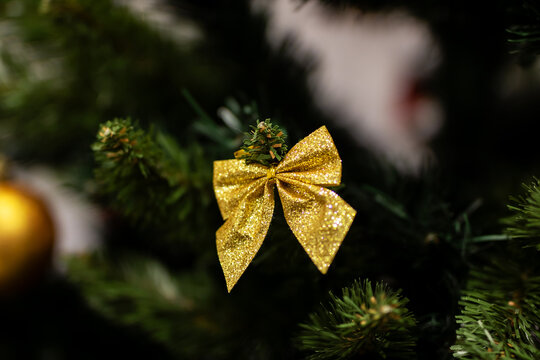 Festive holiday decoration, Shimmering gold ribbon adorns lush evergreen branch with lights