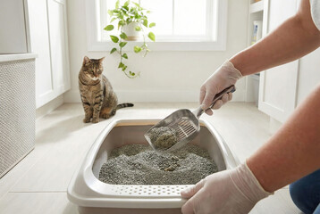 Person wearing gloves cleaning cat litter box with scoop in a white tiled bathroom with a cat watching from the floor