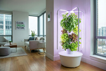 Indoor vertical garden with lush green plants in a modern living room with city view from large windows