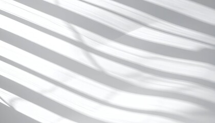 Soft, flowing shadows create a serene play of light against a smooth white surface