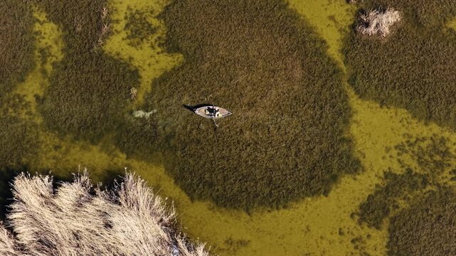 Aerial view of a traditional small fishing boat gliding through the reeds between shallow waters. An impressive drone shot featuring natural textures, tranquility, and traditional life themes.