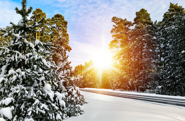 Fototapety na wymiar - Fototapeta24.pl