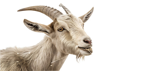 Ultra realistic goat portrait, medium close-up, goat calmly chewing hay, neutral relaxed expression, small pieces of dry hay falling gently around the goat, frozen mid-air, sharp focus, detailed fur t