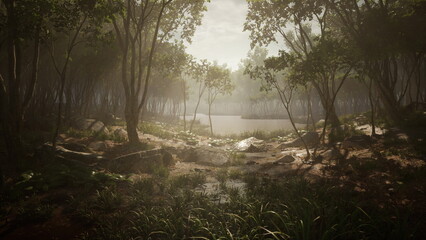 Obraz premium Soft morning light filters through trees in a peaceful forest. A calm lake mirrors the beauty of nature while rocks and grass create an inviting scene of tranquility and serenity.