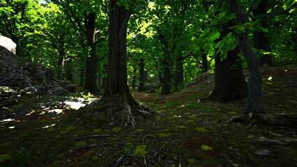 Obraz premium Sunlight filters through the trees in a vibrant forest scene. Lush green leaves beckon, and the ground is alive with rich textures and moss, inviting exploration and tranquility.