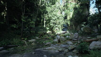 Sunlight shines through tall trees in a vibrant forest, illuminating lush green plants and large rocks. The scenery feels serene and untouched, inviting exploration and adventure.