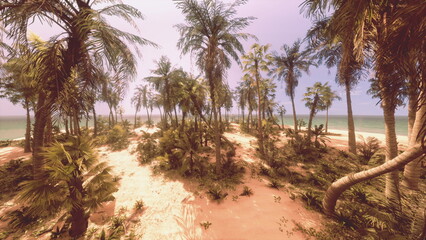 Fototapeta premium A serene scene of a tropical beach featuring palm trees swaying in the wind. Soft sunlight bathes the sandy path leading to calm ocean waters. Nature flourishes in vibrant hues.