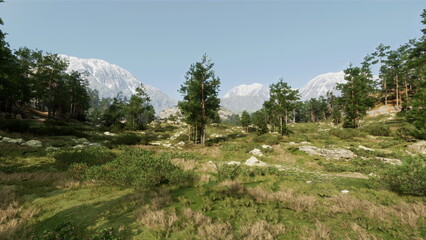 In a tranquil setting, lush greenery covers the ground, while towering trees stand tall. Snow capped mountains loom in the background, creating a picturesque landscape under a bright sky.