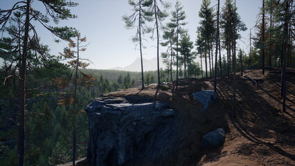 Obraz premium Tall trees surround a rocky cliff, showcasing a beautiful forest landscape. The sunlight filters through branches, creating a serene atmosphere in nature during the daytime.