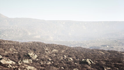 A vast landscape unfolds, showcasing rocky terrain scattered with sparse vegetation. Mist gently covers distant hills under a soft, bright sky, creating a serene atmosphere.