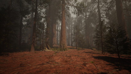 Obraz premium Tall trees surround a winding path, enveloped in a light mist. The earth reflects brown tones, inviting exploration in this serene and quiet forest setting.