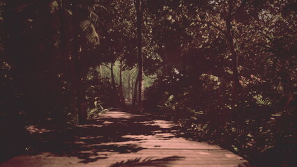 Obraz premium A serene wooden walkway meanders through a verdant forest, bathed in gentle evening light. The scene exudes peace and invites exploration of natures beauty.