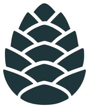 Minimalist Pinecone Illustration in Dark Teal, Abstract Botanical Motif