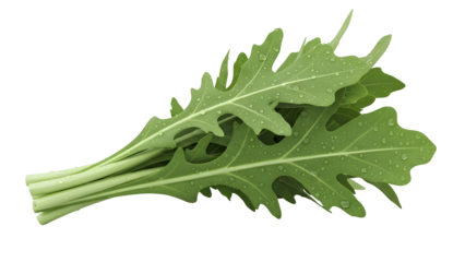 Fresh Green Leafy Vegetable Illustration for Healthy Meal transparent background