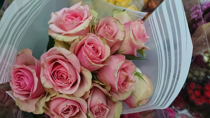 Pink roses bouquet close up