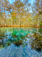 Wide View of Turquoise Spring Water Surrounded by Trees