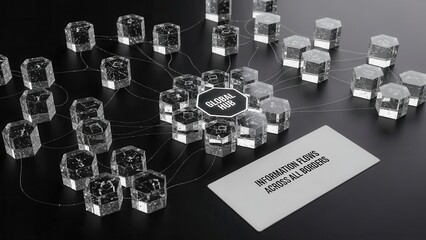 Global Information Network Hub with Connected Nodes