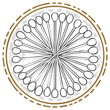 Circular Arrangement of Cotton Swabs for Hygiene and Cosmetics