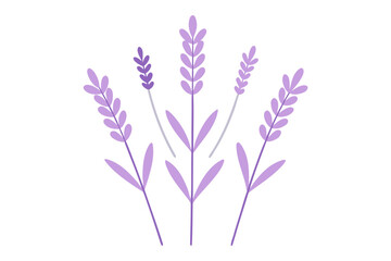 Stylized Lavender Sprigs in Soft Lilac on White Background