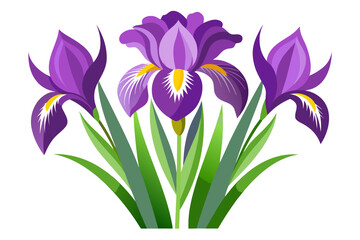 Stylized Purple Iris Blooms with Delicate Line Details