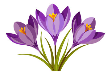 Stylized Saffron Crocus Flowers with Golden Pistils