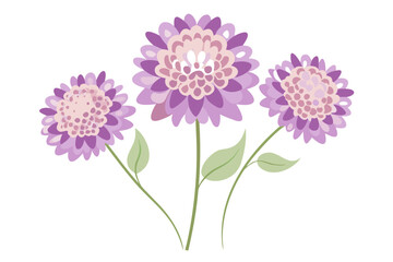 Stylized Scabiosa Flowers with Frilly Petals in Soft Hues