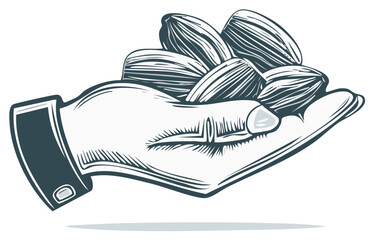 Close up of a hand holding a bunch of plump sunflower seeds presented in a simple line drawing style