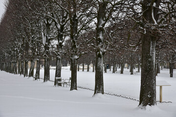 Temps de neige au Jardin du Luxembourg en hiver &agrave; Paris