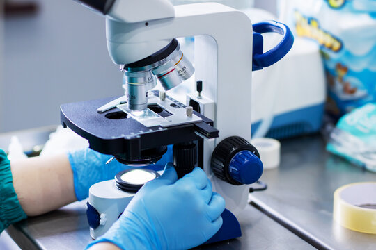 Skilled technician carefully analyzing glass slide under bright laboratory microscope lighting