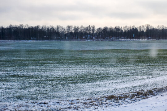 Quiet winter scene in rural landscape, Serene snowblanketed field under cloudy sky