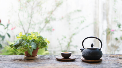 Metal teapot and tea cup with nerve plant on wooden table with backyard view