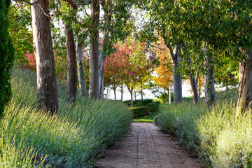 El sendero de los sentidos