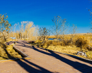 Wildlife Viewing Platform at The Black River, Cottonwood Day Use Area, Black River National Recreation Area, New Mexico, USA