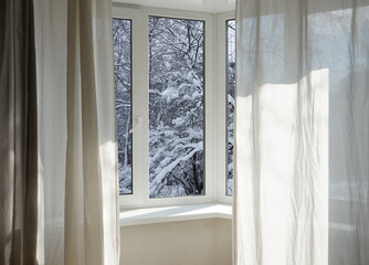 View from the window of trees in the snow, snow-covered park, landscape with a winter forest.