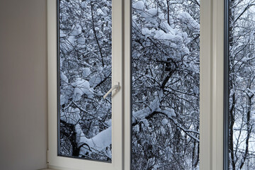 View from the window of trees in the snow, snow-covered park, landscape with a winter forest.