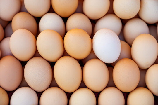 Close-up of a variety of brown and white eggs