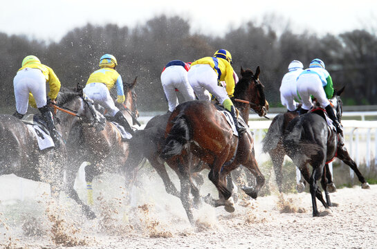 Caballos galopando a m&aacute;xima velocidad